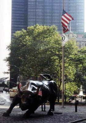 A patriotic bull